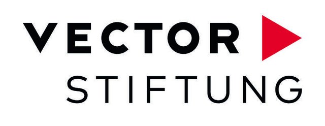 Logo/Schriftzug Vector Stiftung